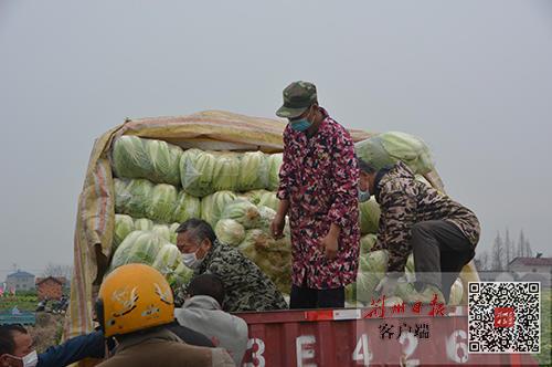 松滋司機最新招聘,松滋司機最新招聘，職業前景、要求與如何應聘