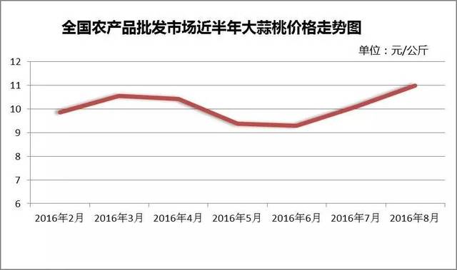 魚臺大蒜最新價格,魚臺大蒜最新價格動態分析