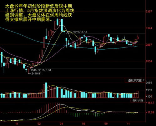 002663最新消息,關于股票代碼002663的最新消息與行業洞察