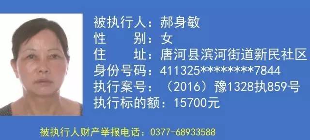 南陽黑坑最新信息,南陽黑坑最新信息解析