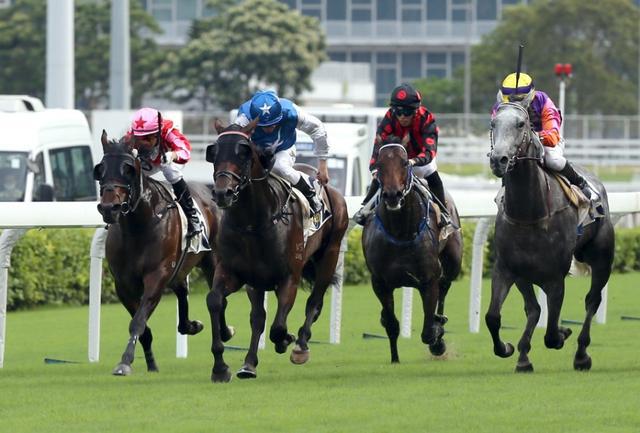 香港2024最準馬資料免費,香港2024最準馬資料免費，探索賽馬運動的魅力與最新資訊