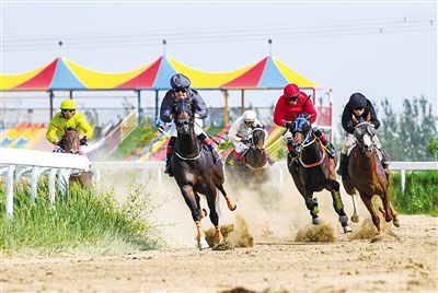 2024今晚香港開特馬,今晚香港開特馬，探索賽馬文化，體驗速度與激情