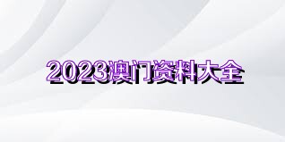 2024澳門正版資料免費大全,澳門正版資料免費大全，探索與啟示（2024版）