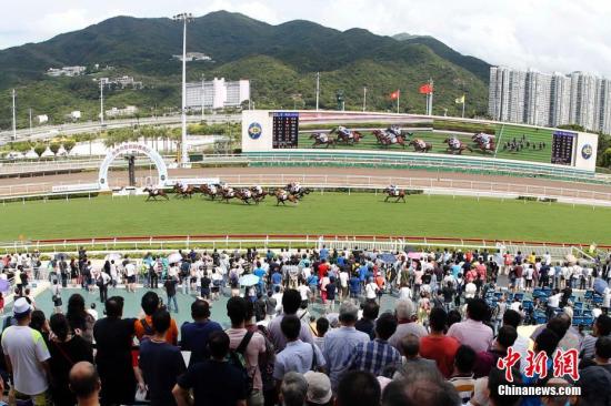 香港馬資料更新最快的,香港賽馬資料更新的速度與深度，與時俱進，掌握最新動態