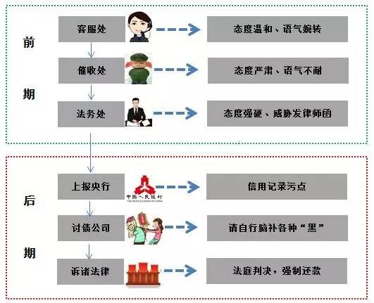 二四六期期準資料公開,二四六期期準資料公開，探索與啟示