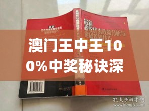 澳門王中王100%期期中一期,澳門王中王，揭秘期期中一期的秘密與魅力