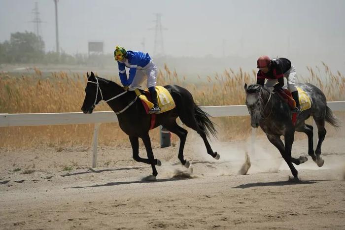 2024今晚香港開特馬,今晚香港開特馬，探索賽馬運(yùn)動(dòng)的魅力與未來展望