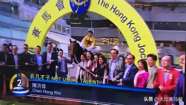 2024今晚香港開特馬開什么,探索香港賽馬文化，2024今晚特馬盛宴展望