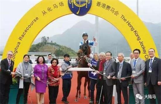 2024今晚香港開特馬,探索香港特馬，一場文化與傳統的盛宴（2024今晚香港特馬展望）