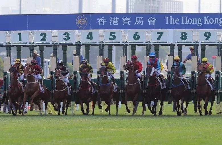 香港最準馬會資料免費,香港最準馬會資料免費，探索賽馬世界的秘密