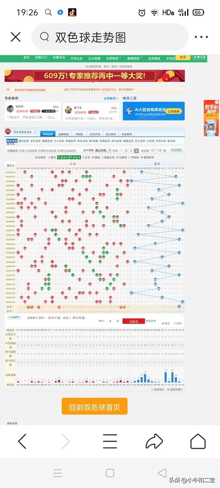 今晚澳門特馬開什么,今晚澳門特馬開什么，探索隨機性與預測的邊緣