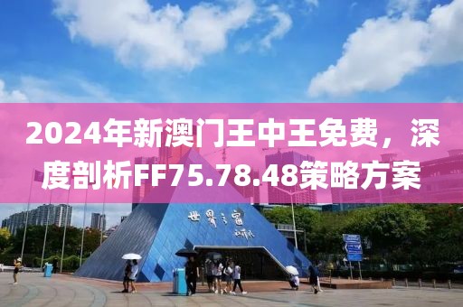 2024年新澳門王中王免費,探索新澳門，2024年王中王免費現象的背后