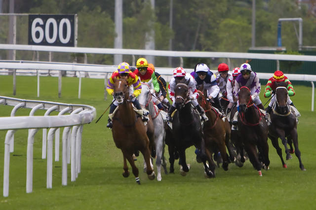 2024今晚香港開特馬開什么,探索香港賽馬文化，2024今晚特馬賽事展望