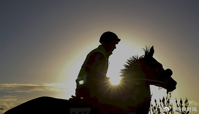 2024澳門特馬今晚開獎網站,探索澳門特馬開獎網站——2024年的新篇章