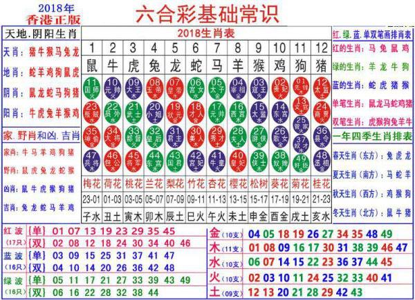 澳門正版資料大全資料生肖卡,澳門正版資料大全資料生肖卡，探索與解析