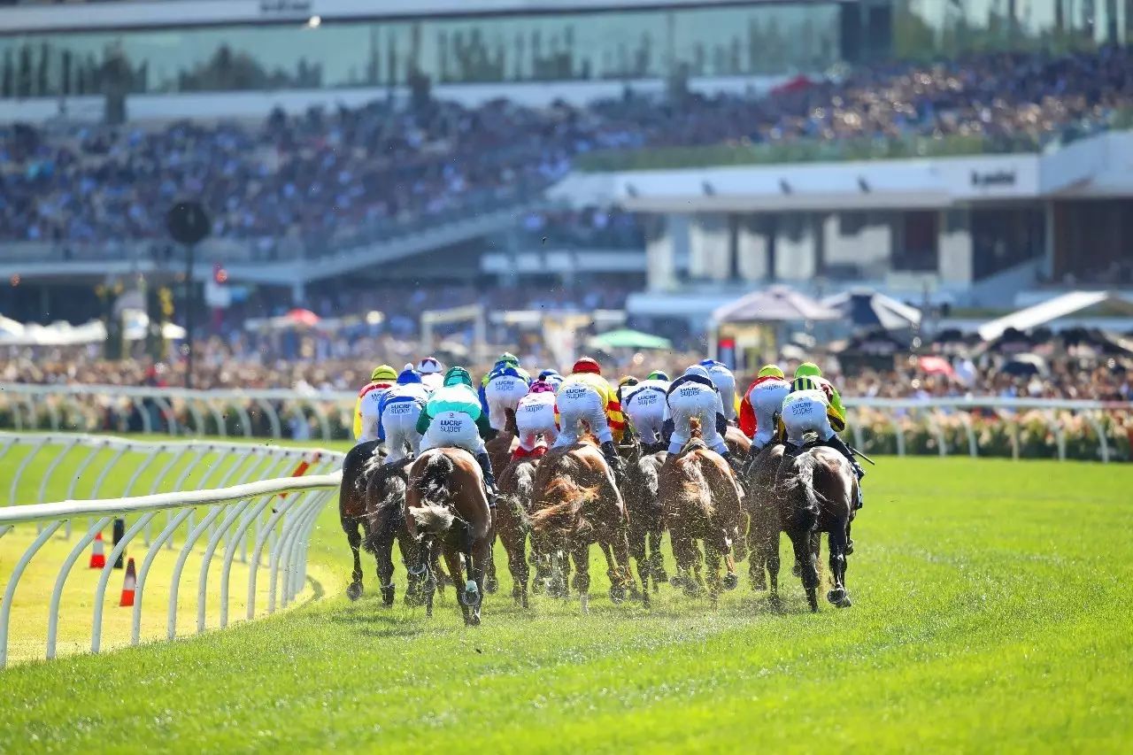 2024今晚香港開特馬,今晚香港開特馬，探尋賽馬文化的魅力與激情