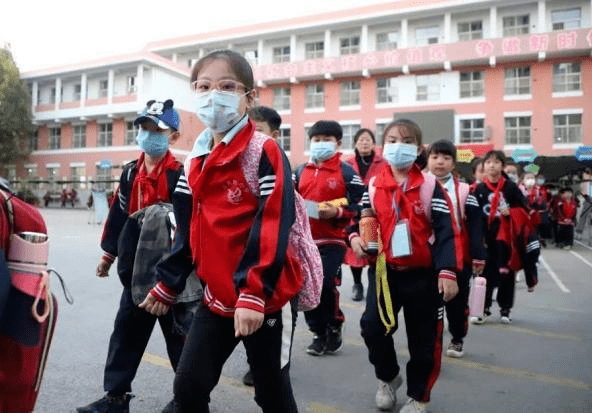 澳門最準最快的免費的,澳門最準最快的免費服務與體驗