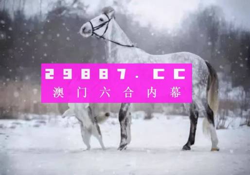 澳門精準(zhǔn)一肖一碼一碼,澳門精準(zhǔn)一肖一碼一碼，探索與解析