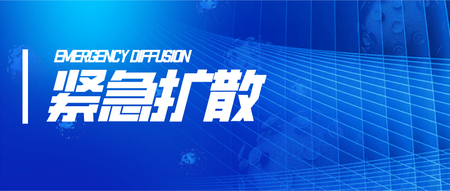 新澳門內部資料精準大全,關于新澳門內部資料精準大全的探討