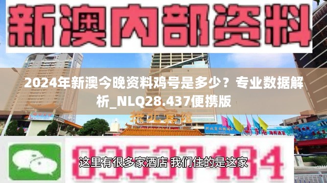 2024新澳今晚資料雞號幾號,探索未來，關于新澳今晚資料雞號的深度解析