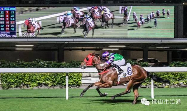 香港最準馬會資料免費,香港最準馬會資料免費，探索賽馬世界的秘密