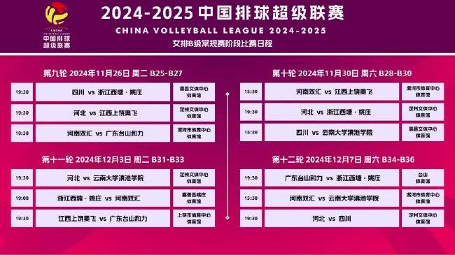 2025正版資料大全好彩網,探索未來，2025正版資料大全與好彩網共創美好未來