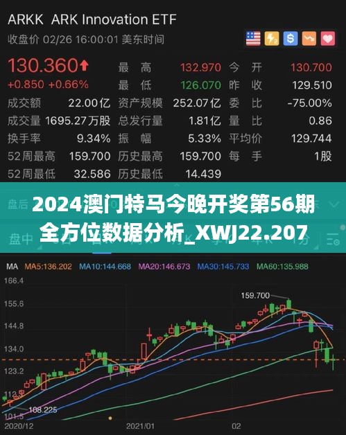 2025年澳門特馬今晚,澳門特馬在2025年的新篇章，探索未來與傳承歷史