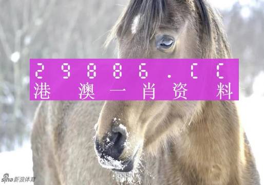 澳門(mén)一肖一碼100準(zhǔn)最準(zhǔn)一肖_,澳門(mén)一肖一碼，揭秘最準(zhǔn)的預(yù)測(cè)藝術(shù)