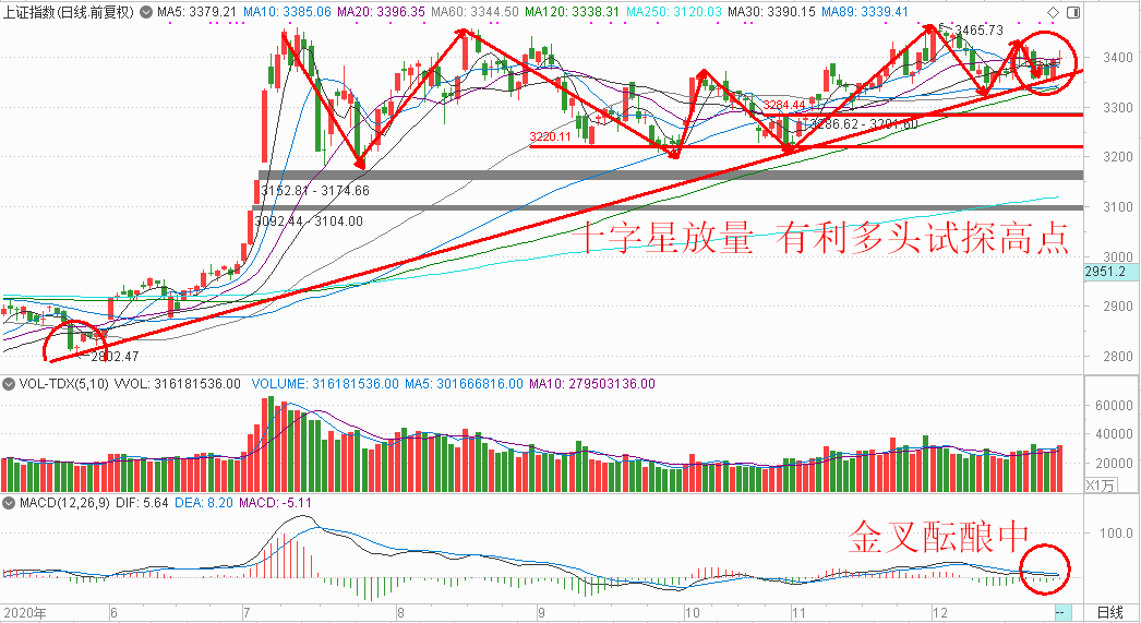 2025今晚特馬開什么,關于今晚特馬開什么的研究與預測——走向未來的視角（以文章標題為準）