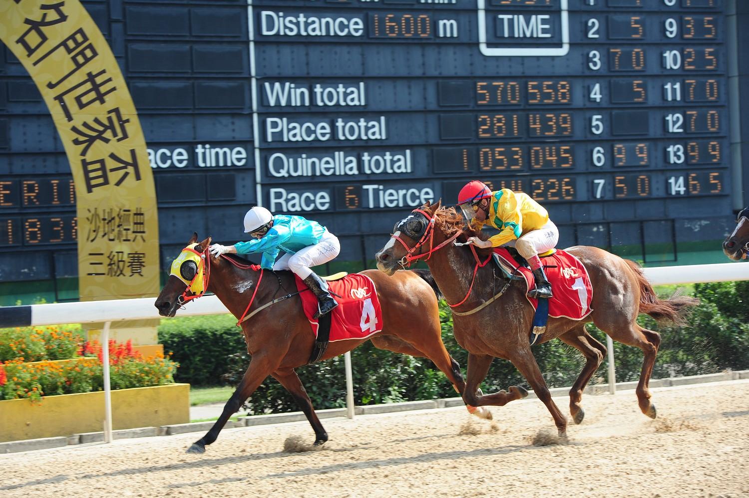 澳門馬會傳真,澳門馬會傳真，探索賽馬運動的魅力與現代化發展