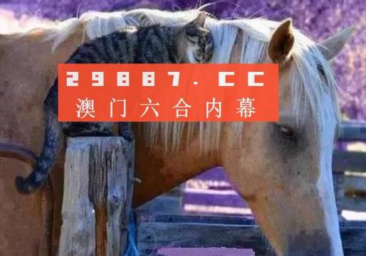 澳門二四六精準大全,澳門二四六精準大全，探索與解析