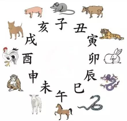 2025年12生肖49碼圖,揭秘2025年十二生肖與49碼圖的神秘關聯