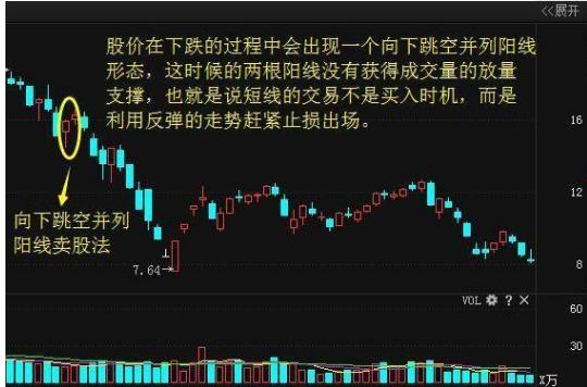 精準一肖100%免費,精準一肖，揭秘預測技巧，百分之百免費