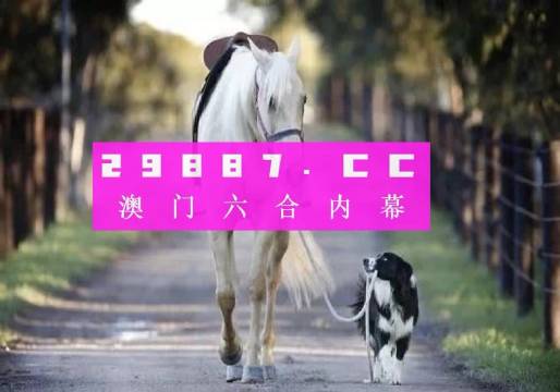 六合圖庫,六合圖庫，探索數(shù)字世界的寶藏