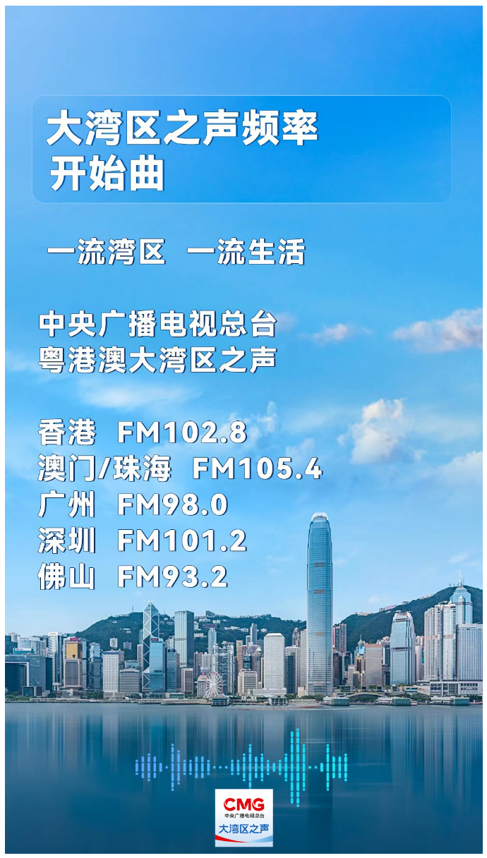 新澳門精準資料期期精準,新澳門精準資料期期精準，探索與解讀