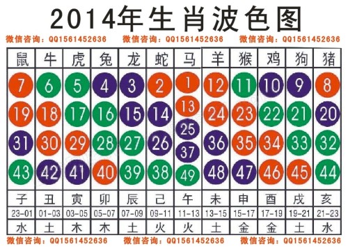 2025十二生肖49碼表,揭秘十二生肖與數字世界的神秘聯系，2025年十二生肖49碼表詳解