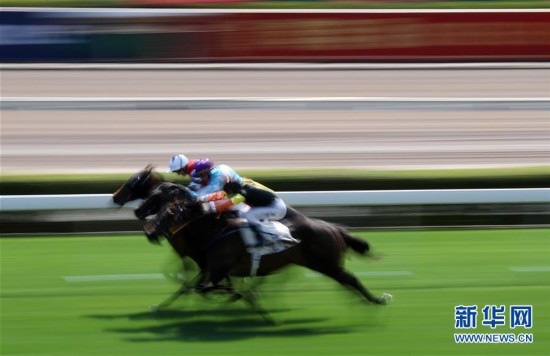 香港最準馬會資料免費,香港最準馬會資料免費，探索賽馬運動的魅力與公開資料的機遇