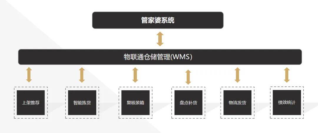 2025管家婆一碼一肖資料,關于2025管家婆一碼一肖資料的研究與探討