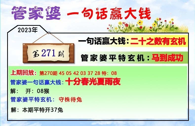 澳門一肖一碼100管家婆9995,澳門一肖一碼與管家婆9995，探索與解析