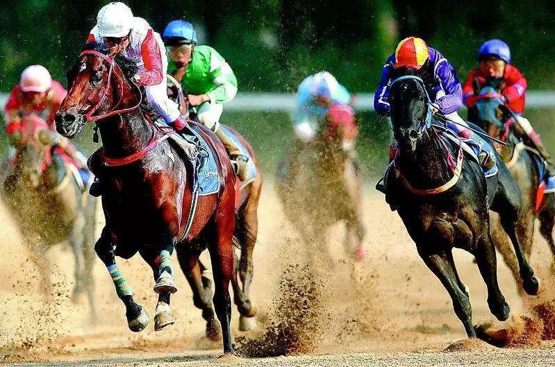 新澳今天開什么特馬,新澳今日賽馬盛況，探尋特馬的風采