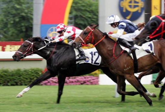 2025今晚香港開特馬,香港賽馬盛宴，2025今晚特馬開賽盛況展望