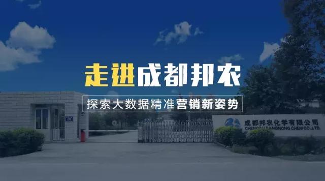 新奧門資料免費精準,新澳門資料免費精準，探索與解析