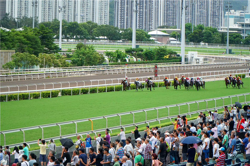 香港馬買馬網站www,香港馬買馬網站——探索賽馬文化的獨特魅力