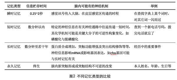 二四六香港全年免費資料說明,二四六香港全年免費資料說明，獲取與使用指南