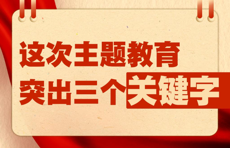 新澳門管家婆一碼一肖一特一中,新澳門管家婆一碼一肖一特一中，探索命運之輪的神秘面紗