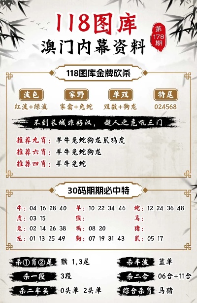 2025澳彩管家婆資料龍蠶134期 03-08-28-39-40-41P：05,探索澳彩管家婆資料龍蠶的秘密，第134期的數字奧秘與未來展望