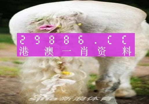 新澳門資料全年免費(fèi)精準(zhǔn)027期 01-05-10-26-27-34U：35,新澳門資料全年免費(fèi)精準(zhǔn)解析，探索第027期的數(shù)字奧秘（附解析U，35）