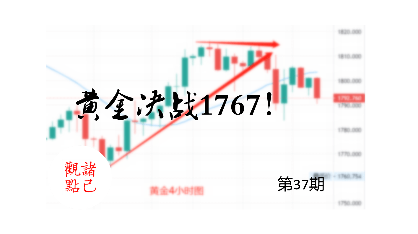 澳門今晚上開的特馬015期 06-10-17-30-39-40Y：06,澳門今晚上開的特馬015期，探索數字背后的神秘與期待