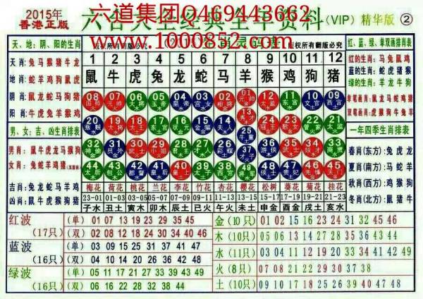 2025十二生肖49碼表071期 08-09-10-15-27-35C：15,揭秘十二生肖與彩票密碼，2025年生肖彩票走勢預測（第49期）