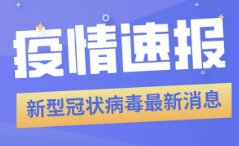 新澳精準正版資料免費119期 03-09-31-40-47-49Z：33,新澳精準正版資料免費分享，探索第119期的秘密與策略分析